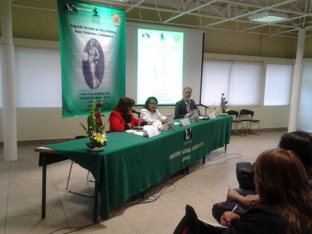 Estancia de Inv UAM-I 2015 